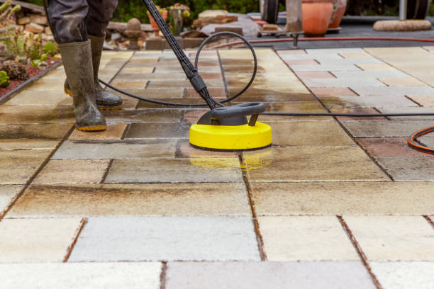 Animal Enclosure Cleaning in Bedminster, NJ